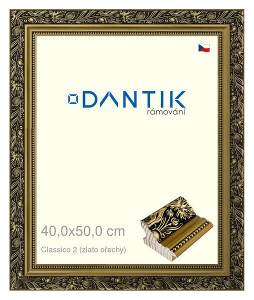 DANTIK rám na obraz 40x50 | Claico 2 (zlato ořechy) (Plexi Čiré)