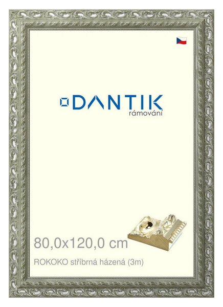 DANTIK rám na obraz 80x120 | ROKOKO stříbrná házená (Plexi Čiré)