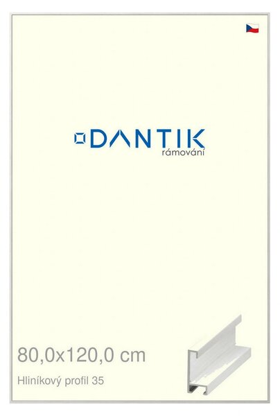 DANTIK rám na obraz 80x120 | ALU Dýha bílá (Plexi Čiré)