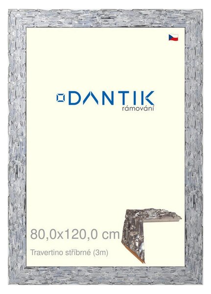 DANTIK rám na obraz 80x120 | TRAVERTINO stříbrné (Plexi Čiré)