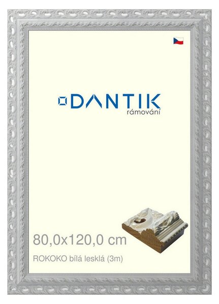 DANTIK rám na obraz 80x120 | ROKOKO bílá lesklá (Plexi Čiré)