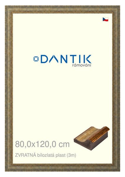 DANTIK rám na obraz 80x120 | ZVRATNÁ bílozlatá plast (Plexi Čiré)
