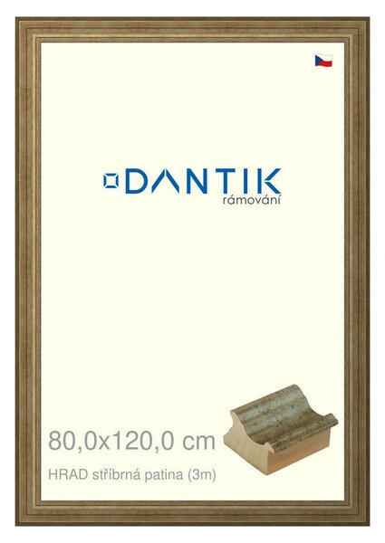 DANTIK rám na obraz 80x120 | HRAD stříbrná patina (Plexi Čiré)