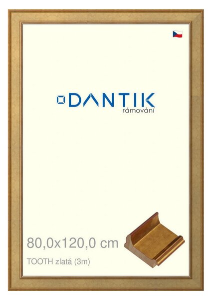 DANTIK rám na obraz 80x120 | TOOTH zlatá (Plexi Čiré)