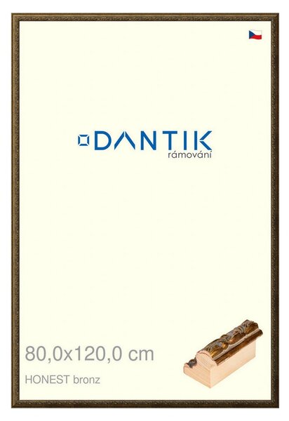 DANTIK rám na obraz 80x120 | HONEST malá vysoká bronz (Plexi Čiré)