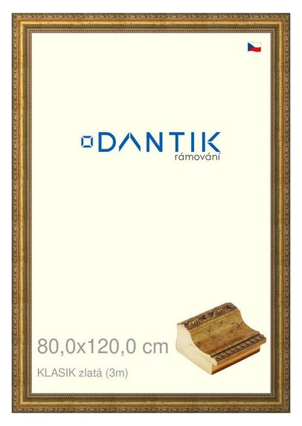 DANTIK rám na obraz 80x120 | KLASIK zlatá (Plexi Čiré)