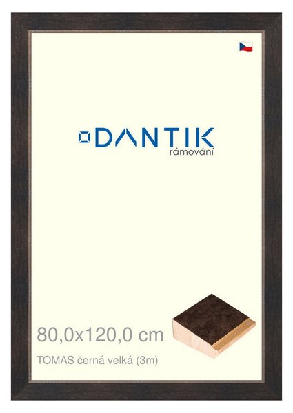 DANTIK rám na obraz 80x120 | TOMAS černá velká (Plexi Čiré)