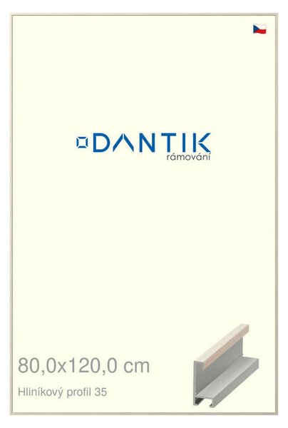 DANTIK rám na obraz 80x120 | ALU Dýha slonová kost (Plexi Čiré)