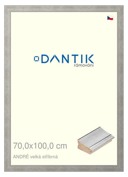DANTIK rám na obraz 70x100 | ANDRÉ velká stříbrná (Plexi Čiré)