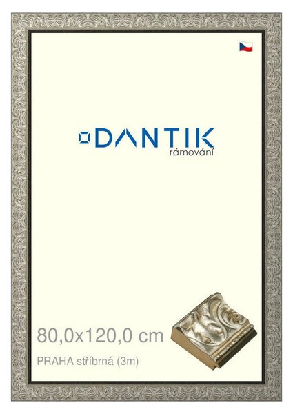 DANTIK rám na obraz 80x120 | PRAHA stříbrná (Plexi Čiré)