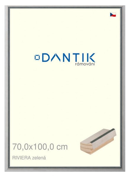 DANTIK rám na obraz 70x100 | RIVIERA zelená (Plexi Čiré)
