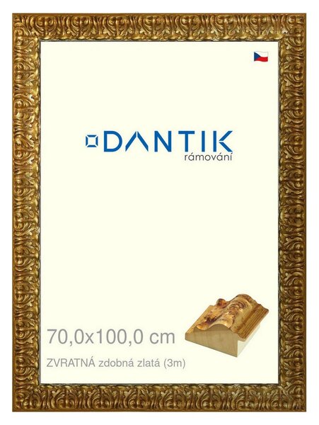 DANTIK rám na obraz 70x100 | ZVRATNÁ zdobná zlatá (Plexi Čiré)