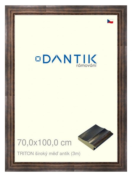 DANTIK rám na obraz 70x100 | TRITON široký měď antik (Plexi Čiré)