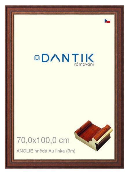 DANTIK rám na obraz 70x100 | ANGLIE hnědá Au linka (Plexi Čiré)