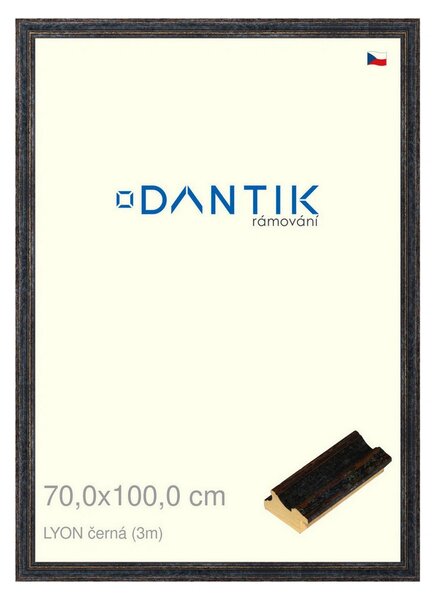 DANTIK rám na obraz 70x100 | LYON černá (Plexi Čiré)