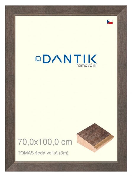 DANTIK rám na obraz 70x100 | TOMAS šedá velká (Plexi Čiré)