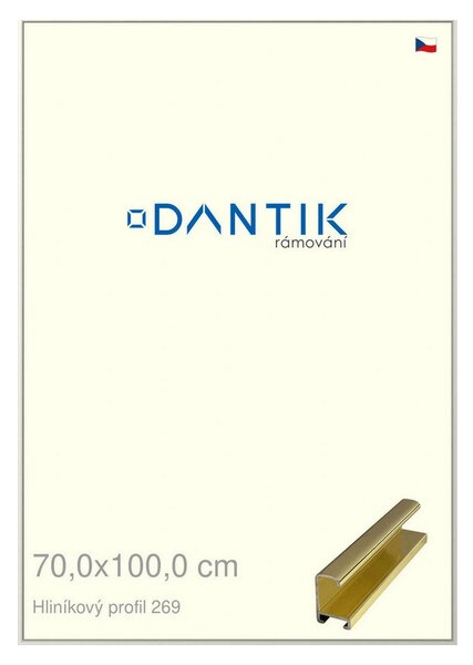 DANTIK rám na obraz 70x100 | ALU Zlatá lesklá (Plexi Čiré)