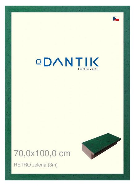 DANTIK rám na obraz 70x100 | RETRO zelená (Plexi Čiré)