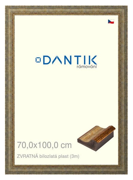 DANTIK rám na obraz 70x100 | ZVRATNÁ bílozlatá plast (Plexi Čiré)