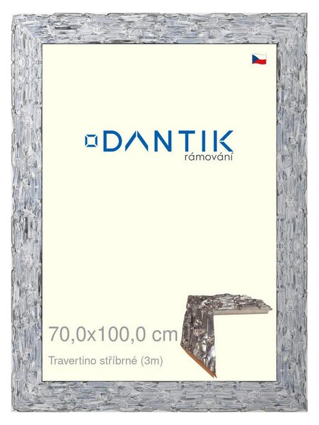 DANTIK rám na obraz 70x100 | TRAVERTINO stříbrné (Plexi Čiré)