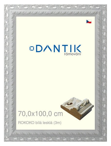 DANTIK rám na obraz 70x100 | ROKOKO bílá lesklá (Plexi Čiré)