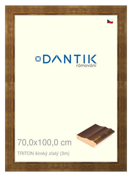 DANTIK rám na obraz 70x100 | TRITON široký zlatý (Plexi Čiré)