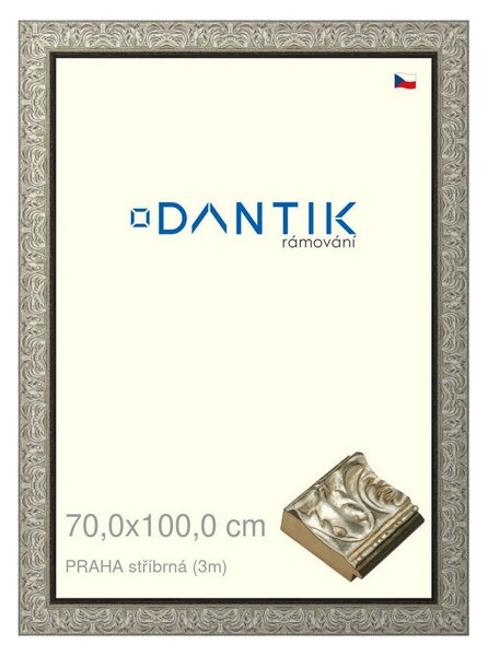 DANTIK rám na obraz 70x100 | PRAHA stříbrná (Plexi Čiré)