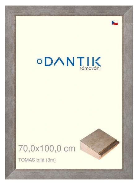 DANTIK rám na obraz 70x100 | TOMAS bílá velká (Plexi Čiré)