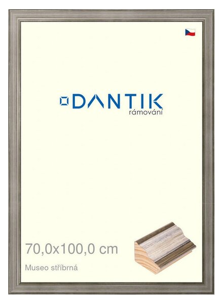 DANTIK rám na obraz 70x100 | Museo stříbrná (Plexi Čiré)