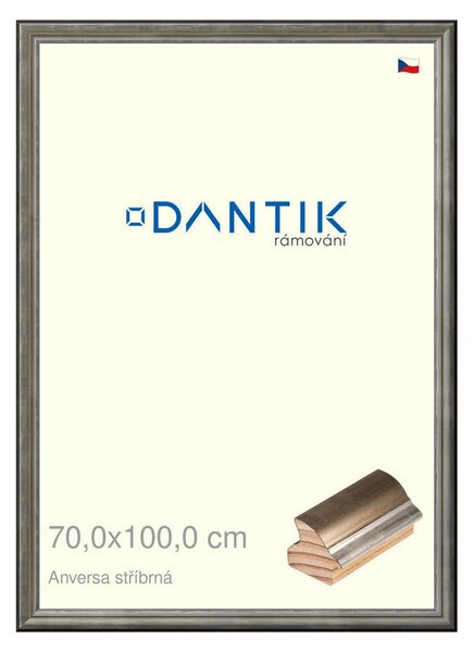 DANTIK rám na obraz 70x100 | ANIVERSA stříbrná (Plexi Čiré)
