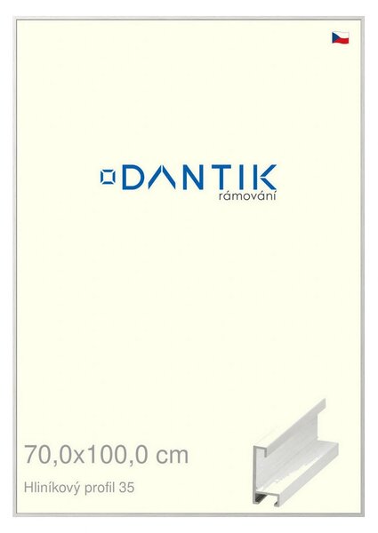 DANTIK rám na obraz 70x100 | ALU Dýha bílá (Plexi Čiré)