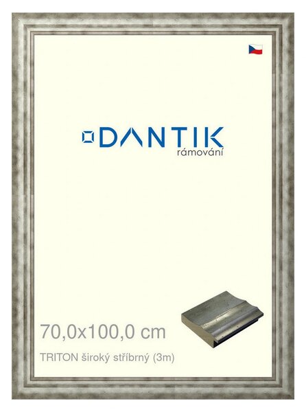 DANTIK rám na obraz 70x100 | TRITON široký stříbrný (Plexi Čiré)