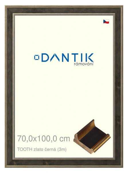 DANTIK rám na obraz 70x100 | TOOTH zlato černá (Plexi Čiré)