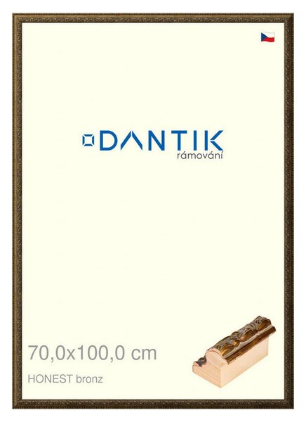 DANTIK rám na obraz 70x100 | HONEST malá vysoká bronz (Plexi Čiré)