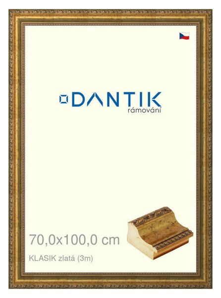 DANTIK rám na obraz 70x100 | KLASIK zlatá (Plexi Čiré)
