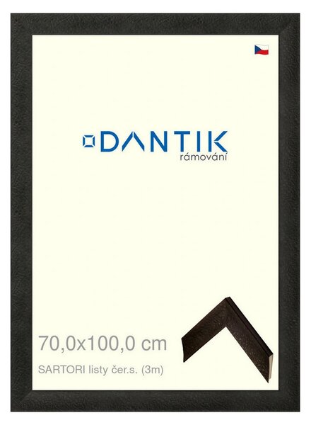 DANTIK rám na obraz 70x100 | SARTORI listy čer.s. (Plexi Čiré)