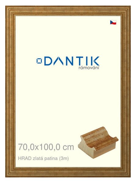 DANTIK rám na obraz 70x100 | HRAD zlatá patina (Plexi Čiré)