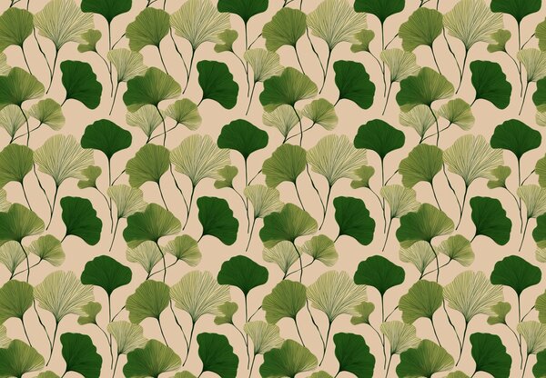 Fototapeta - Ginko zelené listy (147x102 cm)