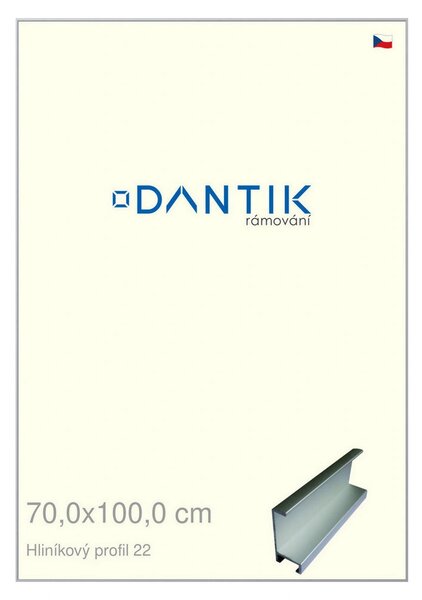 DANTIK rám na obraz 70x100 | ALU Stříbrná matná (Plexi Čiré)