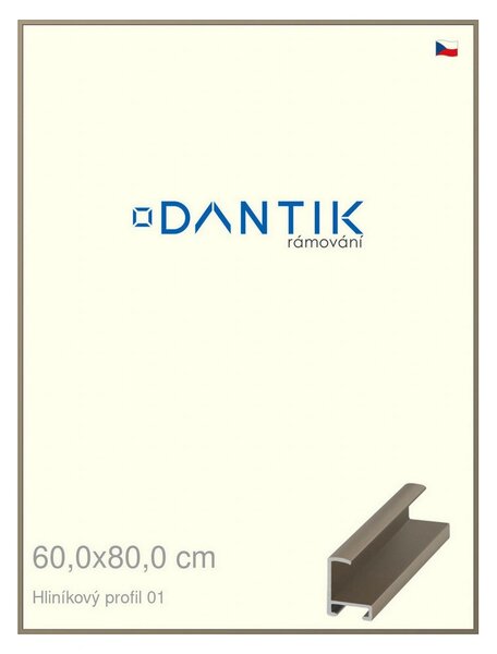 DANTIK rám na obraz 60x80 | ALU champagne (Plexi Čiré)