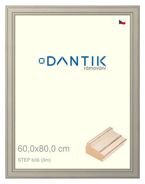 DANTIK rám na obraz 60x80 | STEP bílá (Plexi Čiré)