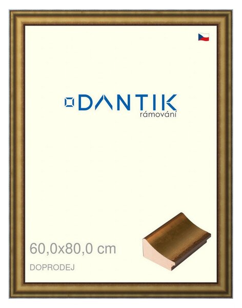 DANTIK rám na obraz 60x80 | Doprodej | METAL AU prohlá velká (Plexi Čiré)