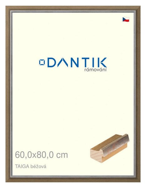 DANTIK rám na obraz 60x80 | TAIGA béžová (Plexi Čiré)