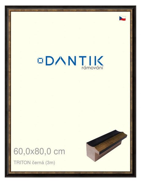 DANTIK rám na obraz 60x80 | TRITON černá (Plexi Čiré)