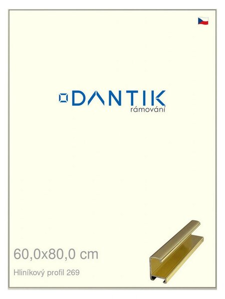 DANTIK rám na obraz 60x80 | ALU Zlatá lesklá (Plexi Čiré)