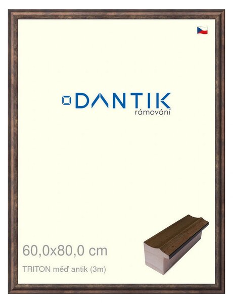 DANTIK rám na obraz 60x80 | TRITON měď antik (Plexi Čiré)
