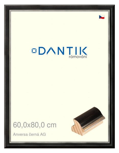 DANTIK rám na obraz 60x80 | ANIVERSA černá AG (Plexi Čiré)