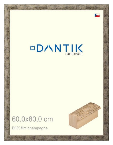 DANTIK rám na obraz 60x80 | BOX film champagne (Plexi Čiré)