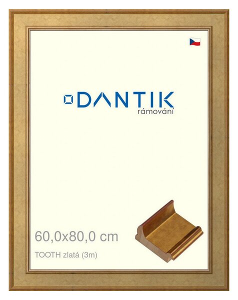 DANTIK rám na obraz 60x80 | TOOTH zlatá (Plexi Čiré)