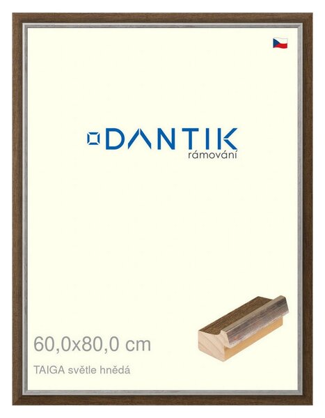 DANTIK rám na obraz 60x80 | TAIGA sv.hnědá (Plexi Čiré)